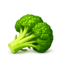 Brokuł
