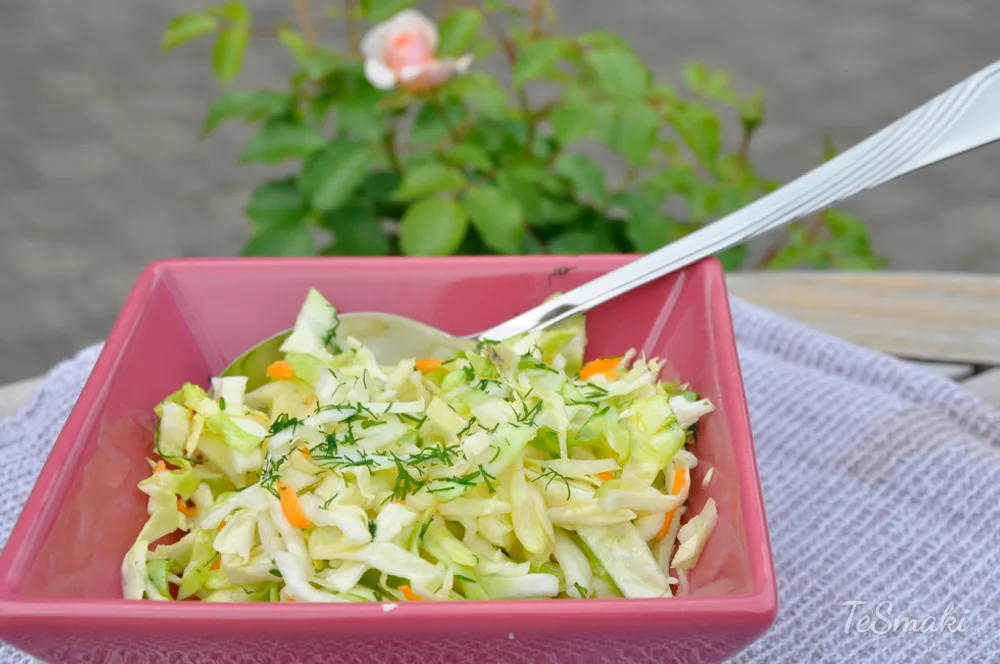 Spring Cabbage Salad